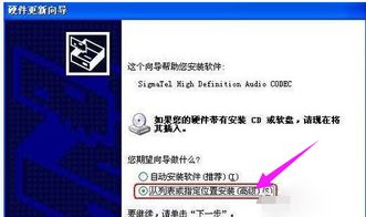 电脑没有音频设备怎么办？一文教你轻松解决软硬件问题